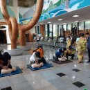 경상북도 야생동물 구조관리센터 이미지