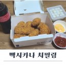 멕시카나 창포점 | 멕시카나 치필링 후기 내돈내산 소스 가격