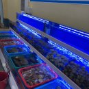 평택조개구이무한리필 이미지