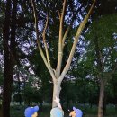 펀포레스트 이미지