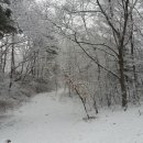 엄나무골농장 이미지