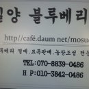 밀양농장 Daum카페