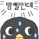 스타스케이프 이미지