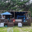 충남 원산도 오봉해수욕장 캠핑 및 대천 해수욕장 수산시장, 보령 머드축제 후기