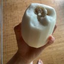 신광중학교 | 9월 첫째주 광고 시작합니다 ~