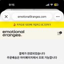 오렌지문 | 2026.01.12-01.18 주간일기 (답십리 시무식, 뮤지컬 비하인드 더 문, 감정적인오렌지들 미사 후기)