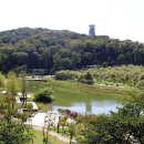 청정 벌꿀 이미지