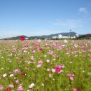 오남2리 이미지