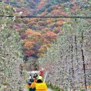 일미농원 이미지