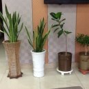 김재연한의원 이미지