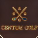 팬더스크린골프 이미지