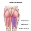 축구선수 자녀를 두신 분들은 꼭 읽어봐 주시길 바랍니다 - 해성한의원 햄스트링부상 치료법 이미지