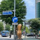 나정순할매쭈꾸미 이미지