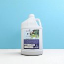 세탁예술가 이미지