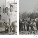 (주) 상도약품 메디게이트