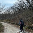 영월읍-9(연하계곡 꼭대기) | 가능할까? 등린이 지리산 성중종주 후기 2탄