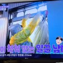 창길 Daum카페
