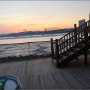 비발디봄부동산공인중개사사무소 | 배곧한라비발디 주변 생활의 모든 것, 배곧한울부동산에서 알아본 생생 후기