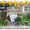 보현산 약초마을 이미지