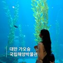 컨딩투어 대만 가오슝 여행 국립해양박물관 당일치기 후기