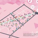 사후면세점 특화거리 이미지