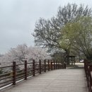 카페147
