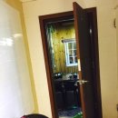 숲속의 하얀별 이미지