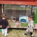 인성어린이집 이미지