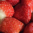 가평카라반캠핑농원 | 가평 카라반 캠핑 농원