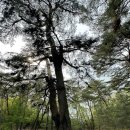 서강약품(주) | 아기랑 강원도 영월 가볼만한곳 1박2일 일정 여행코스 총정리