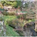 동해민박 이미지