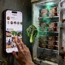 잔반이 된 효심 이미지