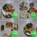 버킷리스트PT | 인생 버킷리스트였던 바디프로필 대성공 후기! (빌리버짐 승현T)