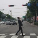 영화초교사거리 이미지