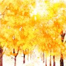 공항제일유치원 이미지