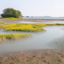 바다그린 이미지