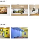 공룡게임랜드 이미지