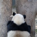 루각
