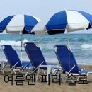 도레미파도 이미지