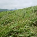 일상(日常) 그 그 이미지