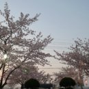 현경어린이집 이미지