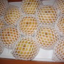 신토불이 이미지