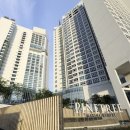 파인트리리조트 이미지