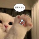 [W1] 결혼준비 시작! 베리굿웨딩 김다애 플래너 상담 후기 (계약O) ʚ♡ɞ