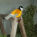 허브와풍뎅이 이미지