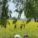 카페 어스 이미지