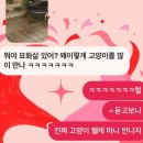 동아대박사한결태권도 | 내 인생이랑 이젠 상관이 없어
