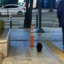 (주)현대그린푸드 현대오일뱅크 신본관식당 | 너무 길게 느껴졌던,,, 이번주 직장인 일기