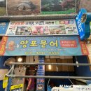 양포문어 이미지