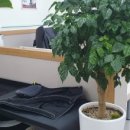 나비엘갤러리 이미지